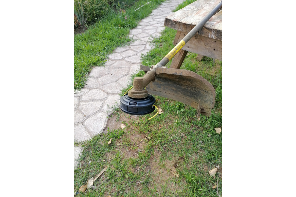 wf421ay3ii3552zylg7nwikwe3jby65q