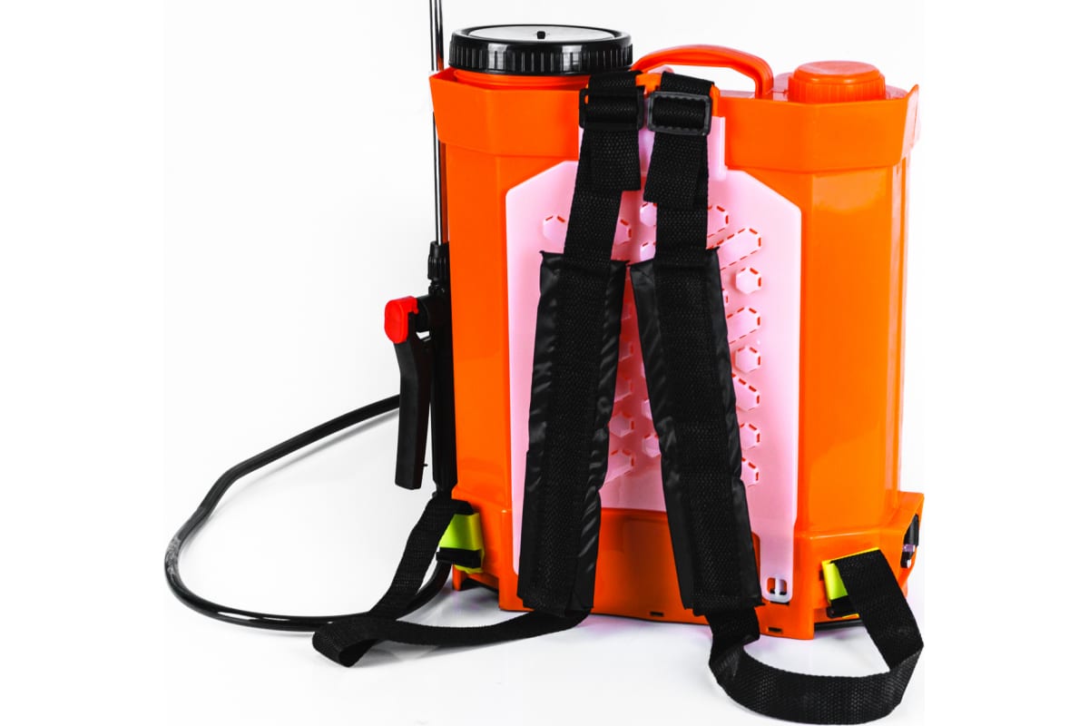 ed3h73pikx1gcigo116t5wo1hs7eojh1