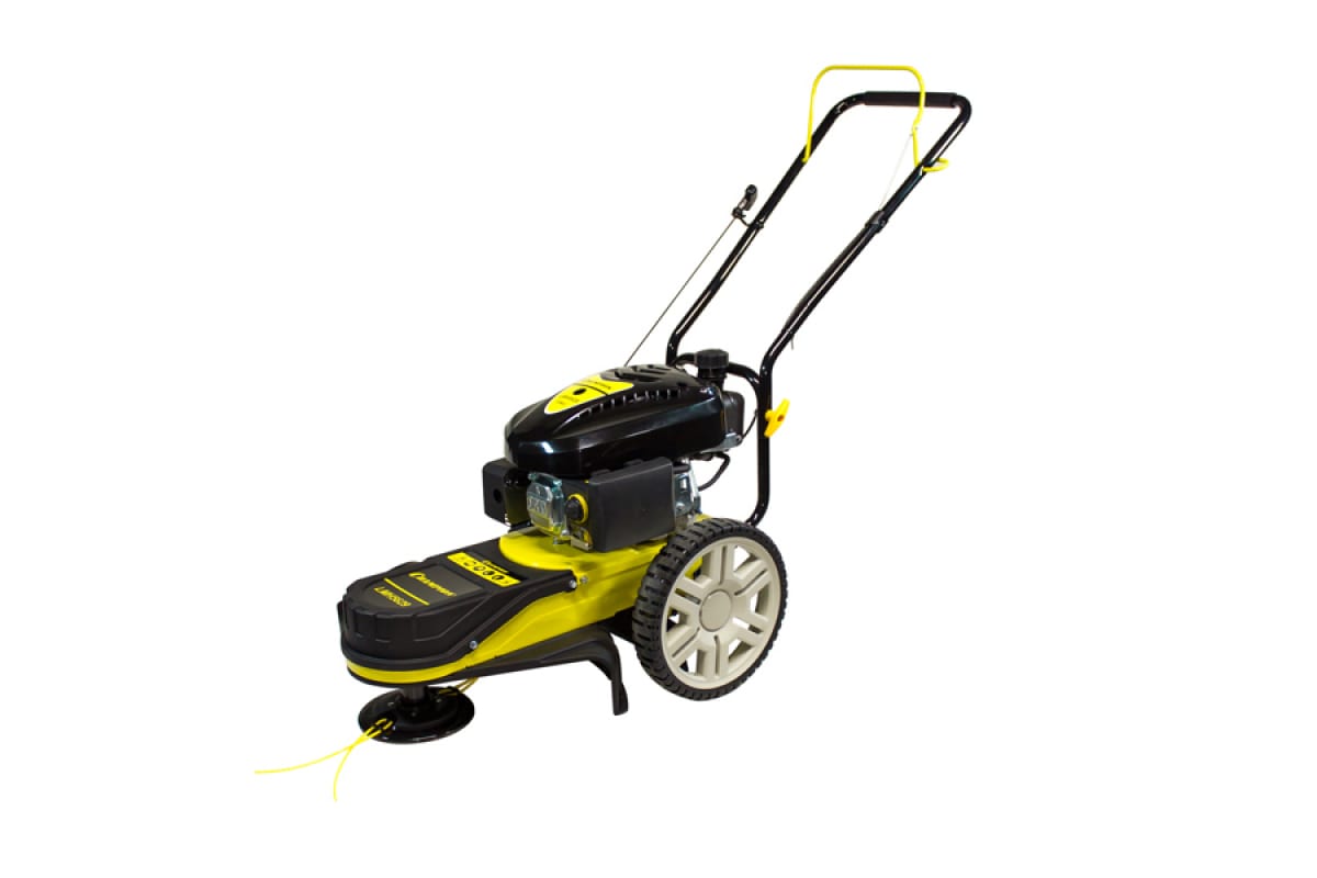 mpwq9ikkkldg0pj1rfww66rum6f0fnec